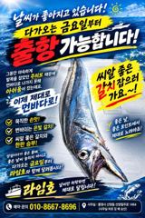 출조안내 - 10일,내만갈치,마릿수 엄청나게 미끼가 모자라요.오늘출항(목,금,일~예약가능) 사진