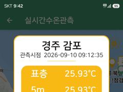대삼치 캐스팅, 금욜부터 출항 가능해집니다! 사진