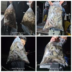 (南)남해조황 - 경동레저(신광) 선외기낚시 흘림찌낚시 감성돔 실시간 영상 사진