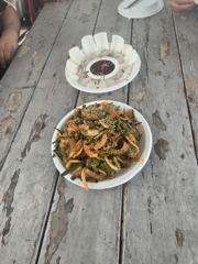 [통영] 버글버글 감성돔 사진