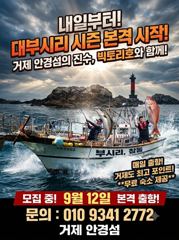 출조안내 - [긴급 출조] 부시리. 참돔 시즌이 돌아왔습니다. (무료 숙소 제공) 사진