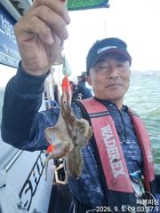 쭈꾸미조항 입니다 ~13일 일욜(출항확정) 예약가능 합니다 사진