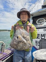 오늘의 조황 - 9/11. 7물때 쭈꾸미 문어 조황 - 무창포 효성낚시 사진