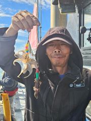 9/11 주꾸미 사진