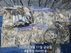 [홍원항타이탄호] 9월11일(금) 사릿물때 우려와 달리 갑쭈 잘잡고 왔습니다. 사진