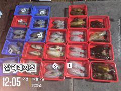 [통영] [팁런] 감자는 가라 "싸이즈""굿",마리수 (일요일,출항) 사진