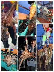 [포항] 포항돌문어어제조황 오늘토요일 모집중입니다 사진