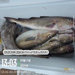 임원항드래곤호 왕대구 조황입니다 사진