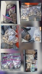 복영호 2026.09.12 쭈갑조황^^ 장원220수오버 1명 사진