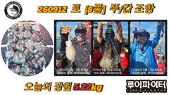 쭈.갑 먹물조황+ - 2026년9월11일(7물) 까치선장 자이언트호 쭈/갑 300수, 250수, 200수 오바 조황 사진