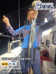갈치한치조황++ - [[대림낚시바다호]] 왕갈치 출조 잡았다 대물~~ 감사합니다 사진