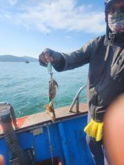 성진호 글만 보기 사진