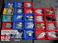 [팁런]감자는,가라,씨알"굿,굿,굿"" (일요일,소수인원,황제낚시,출항확정) 사진
