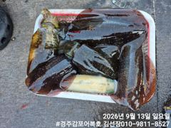 새벽무늬도 잘올라와 주었네요! 사진