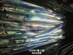 9월13일입항 먼바다갈치 조황소식입니다 사진