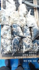 (주꾸미)100수오버~30여수까지 삼천포 대박소식~로마피싱(14일예약) 사진