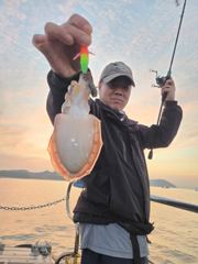 [대천브라더호] 13일철수 쭈 갑 조황입니다 사진
