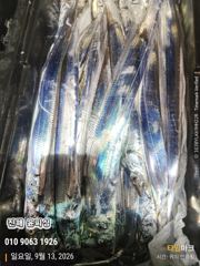 9월13일 입항 먼바다 텐빈 조황 사진