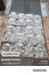 9월13일쭈&갑출조 사진
