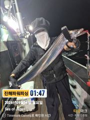 [진해] [갈치/텐빈/텐야]14일입항 2.5~4지까지 쿨러조황[화요일]예… 사진