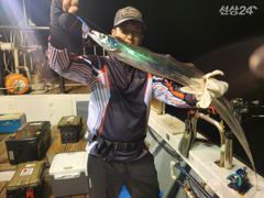 갈치호조황 사진