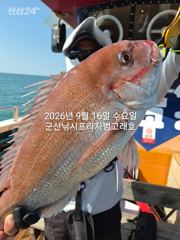 9월16일,"대광어"~연일 대박~참돔 굿,우럭등 다양한 손맛~9분 쿨러 대박조황~내일도 갑니다~ 군산낚시프라자 범고래호 사진