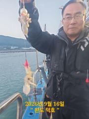 완도덕호 9.16 쭈,문 사진