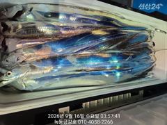 [고흥,녹동] 녹동금강호16석 대갈치쿨러조항1인2쿨까지.자리지정예약제 010-… 사진