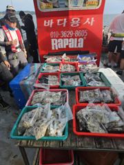 9월17일 쭈.갑조항 사진