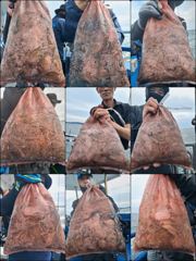먹물 글만 보기 사진
