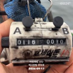 26.09.17 백사장항 무야호 갑오징어 조황^^ 사진