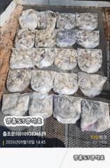 9월18일쭈&갑출조 사진