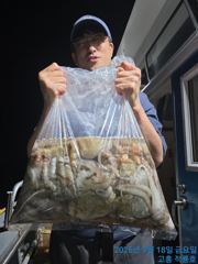 18일 오후반 조황 올려드려요 사진