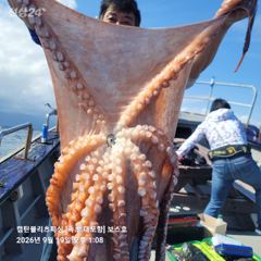 속초보스호 9/19 (토) 대(왕)문어조황...곳간 열쇠를.... 사진