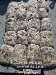 군산 대호피싱 쭈꾸미 대박치고 입항 하였습니다 사진