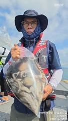 [통영] 통영서하호 19일 철수조황 초보분들 사고 치셨습니다ㅋ.ㅋ 사진