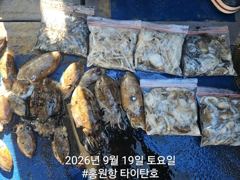 [홍원항타이탄호] 9월19일(토) 쭈꾸미,갑오징어 조황입니다. 사진