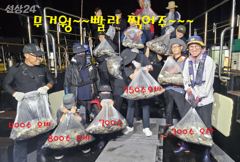 2026년9월19일(무시) 까치선장 자이언트호 쭈/갑 대박 (바닥) 조황 사진