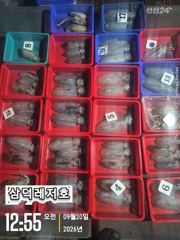 [팁런] 악조건속,무느ㅣ 마리수,조황(일요일 소수인원,출항확정) 사진