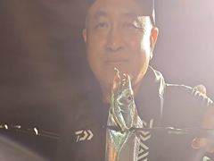 [진해] 내만갈치 씨알좋고 마릿수 좋고~~~예약가능 사진