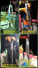 대양호 선상낚시 조황 사진