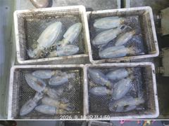 무늬팁런!!62~64번째 멘붕졸업&100여수까지~ 사진