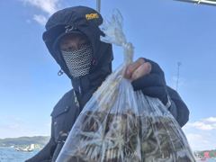 [사천] 삼천포 쭈꾸미 조황 !! 장원166수~~ 자리널널 사진
