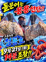 <고흥녹동> 청룡호 21일 돌문어 오늘도!!대박조황 사진