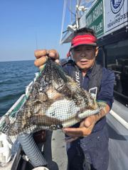 [먹물조황] 9/21 갑오징어 조황 사진