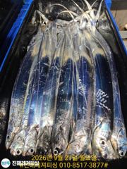 내만칼치 ㅡ 씨알.마릿수 최고 완전 초대박입니다 (목요일 부터 예약가능) 사진