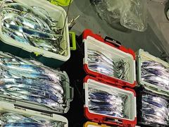 [영덕] 9월22일 팁런조황 사진