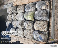 9월22일쭈&갑(굿~조항) 사진