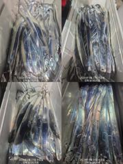 [진해] 내만 갈치 초저녁부터 3지급들이 설치고~~(금욜부터 예약 가능… 사진