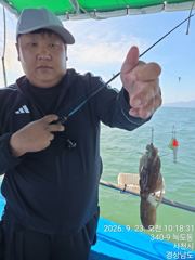 [사천] 쭈꾸미 조황 사진